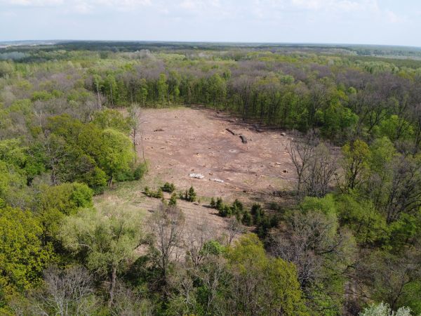 Billings Land Clearing